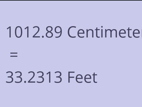 1012.89 CM TO FEET