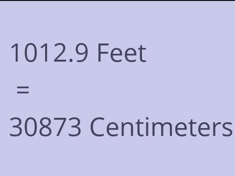 1012.9 FEET TO CM