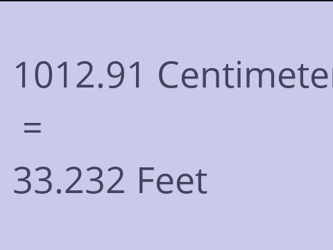 1012.91 CM TO FEET