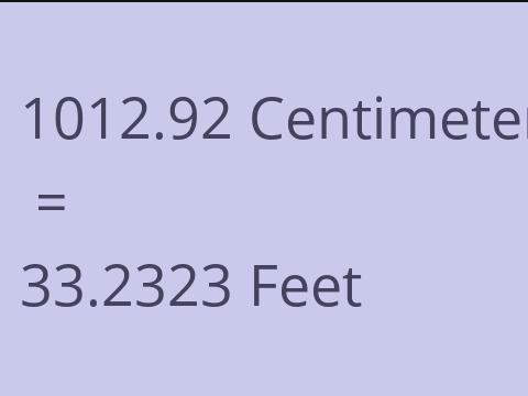 1012.92 CM TO FEET