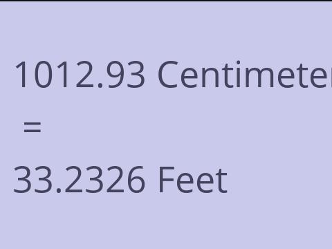 1012.93 CM TO FEET