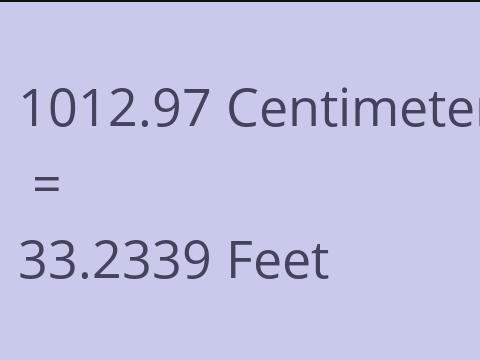 1012.97 CM TO FEET