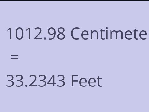 1012.98 CM TO FEET