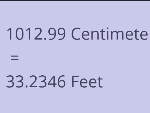 1012.99 CM TO FEET