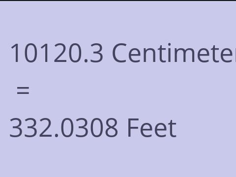 10120.3 CM TO FEET