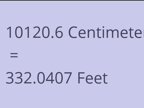 10120.6 CM TO FEET