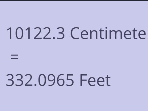 10122.3 CM TO FEET