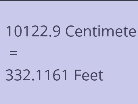 10122.9 CM TO FEET