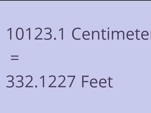 10123.1 CM TO FEET