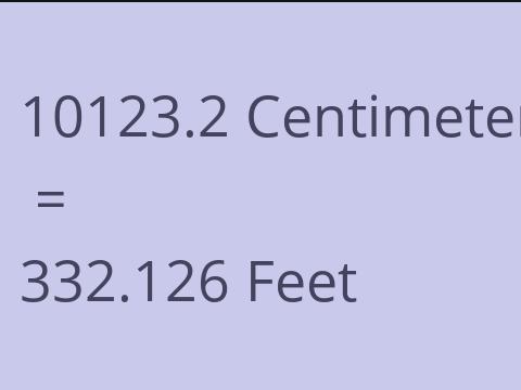 10123.2 CM TO FEET