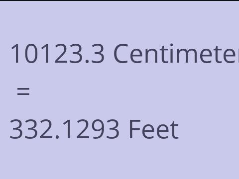 10123.3 CM TO FEET