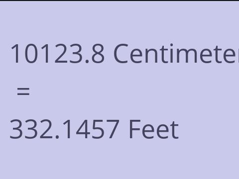 10123.8 CM TO FEET