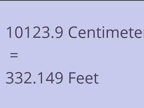 10123.9 CM TO FEET