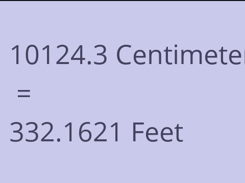 10124.3 CM TO FEET