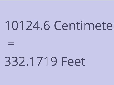 10124.6 CM TO FEET