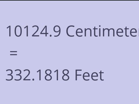 10124.9 CM TO FEET