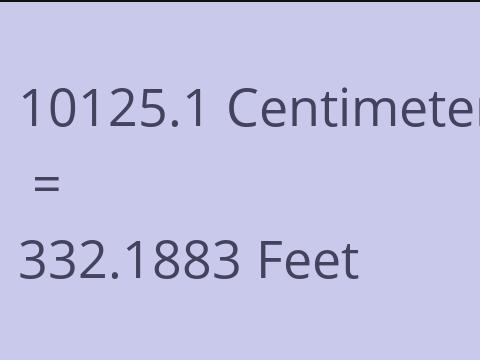 10125.1 CM TO FEET