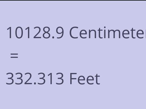 10128.9 CM TO FEET