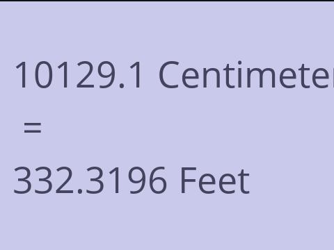 10129.1 CM TO FEET