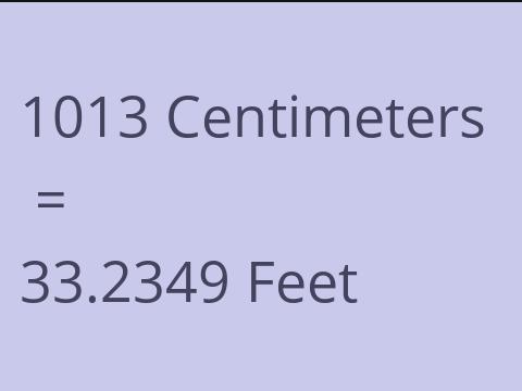 1013 CM TO FEET