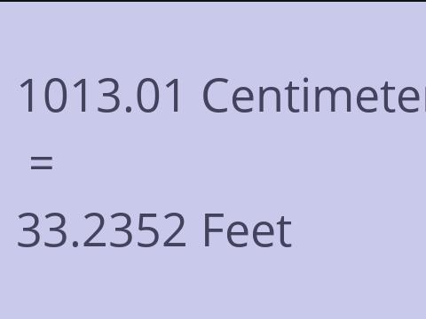 1013.01 CM TO FEET