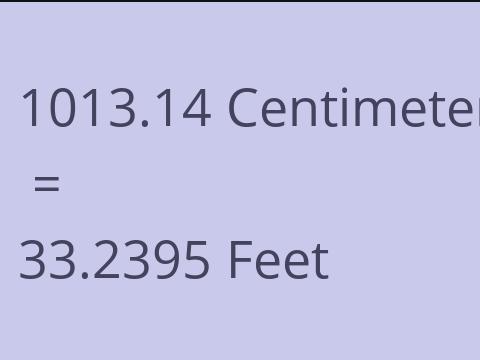 1013.14 CM TO FEET