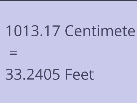 1013.17 CM TO FEET