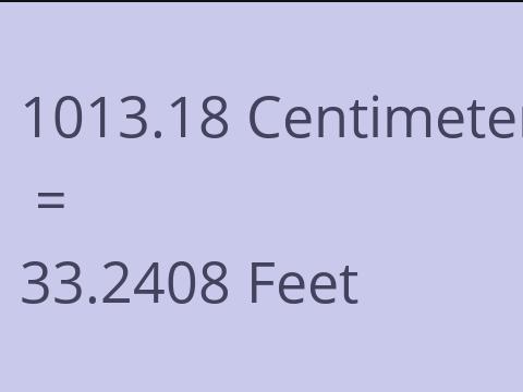 1013.18 CM TO FEET