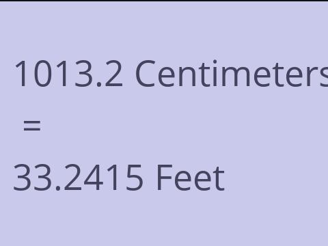 1013.2 CM TO FEET