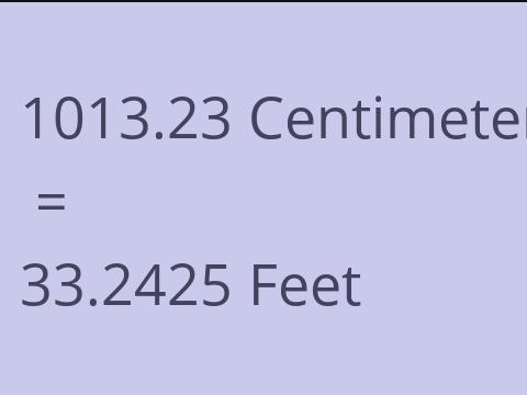 1013.23 CM TO FEET