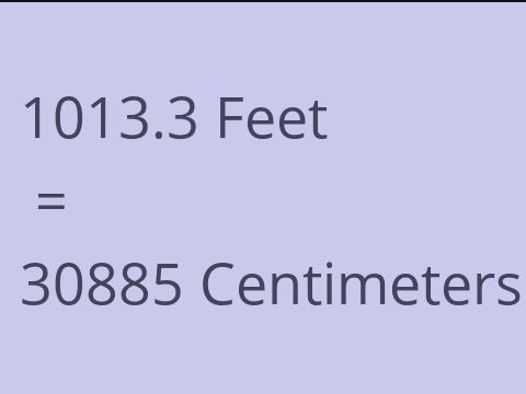 1013.3 FEET TO CM