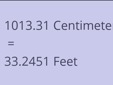 1013.31 CM TO FEET