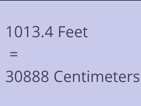 1013.4 FEET TO CM