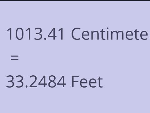 1013.41 CM TO FEET