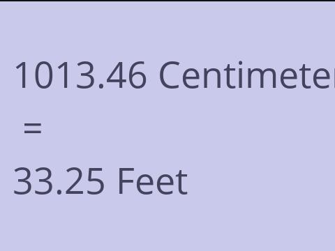 1013.46 CM TO FEET