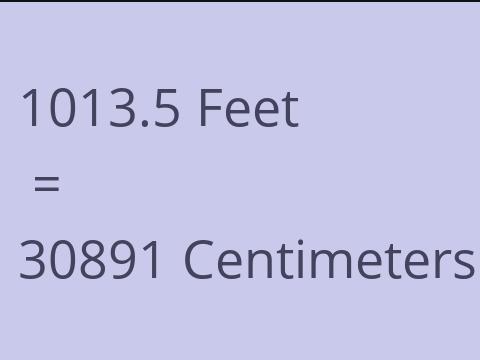 1013.5 FEET TO CM