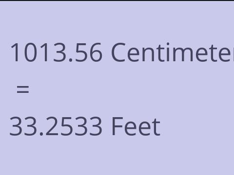 1013.56 CM TO FEET