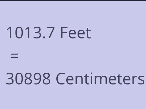 1013.7 FEET TO CM