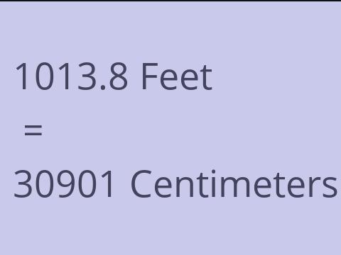 1013.8 FEET TO CM