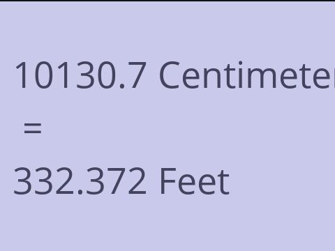 10130.7 CM TO FEET