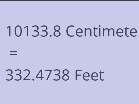10133.8 CM TO FEET