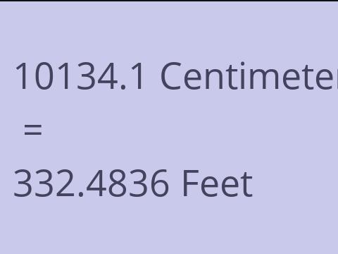 10134.1 CM TO FEET