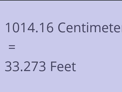 1014.16 CM TO FEET