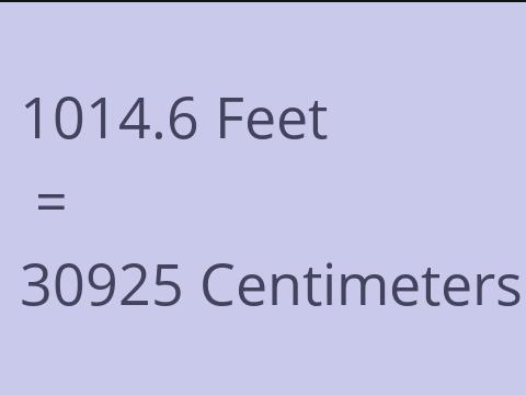 1014.6 FEET TO CM