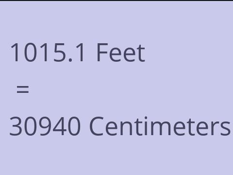 1015.1 FEET TO CM