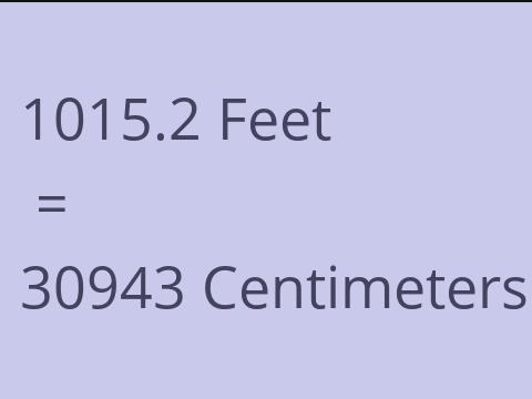 1015.2 FEET TO CM