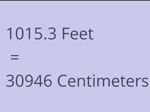 1015.3 FEET TO CM