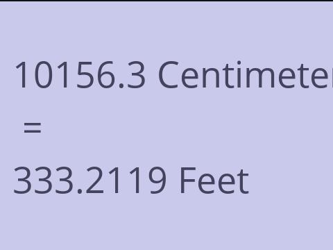 10156.3 CM TO FEET