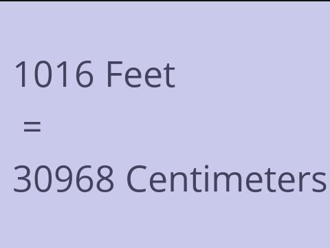 1016 FEET TO CM