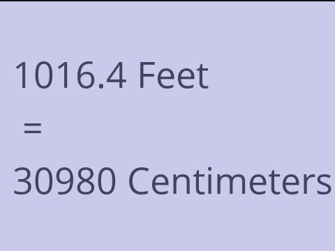 1016.4 FEET TO CM